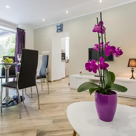 Apartament Sunrise Risika